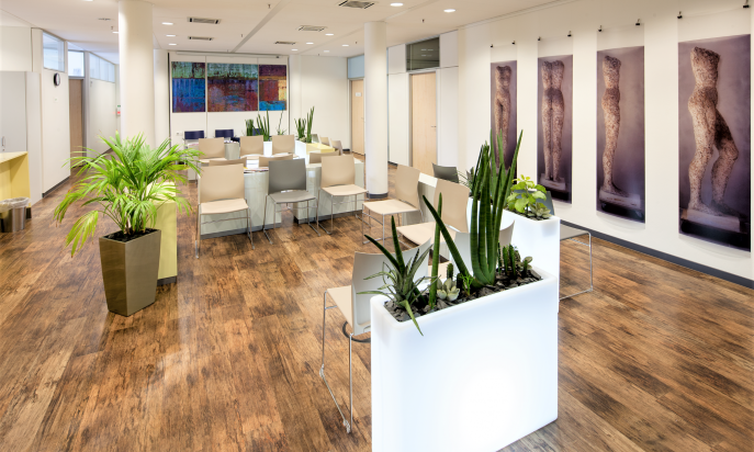 Gastroenterologische Praxis Mainz
